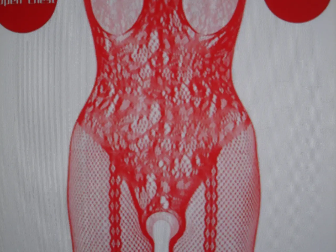 Billede 1 - Bodystocking sexy blonde