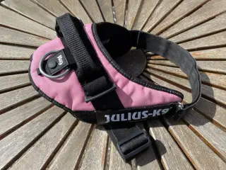 Hundesele - Julius -K19 original