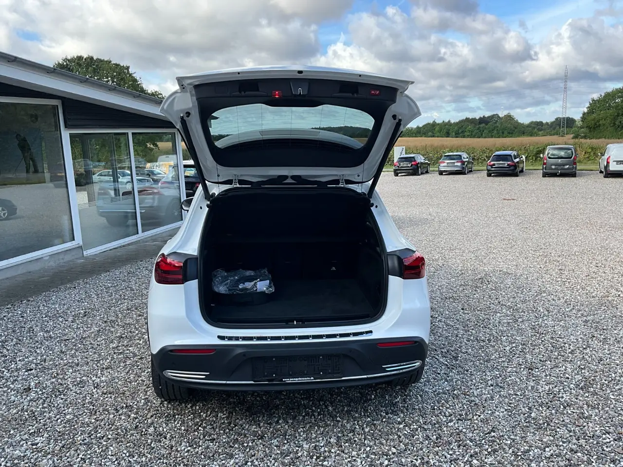 Billede 11 - Mercedes EQA250+ Progressive Advance