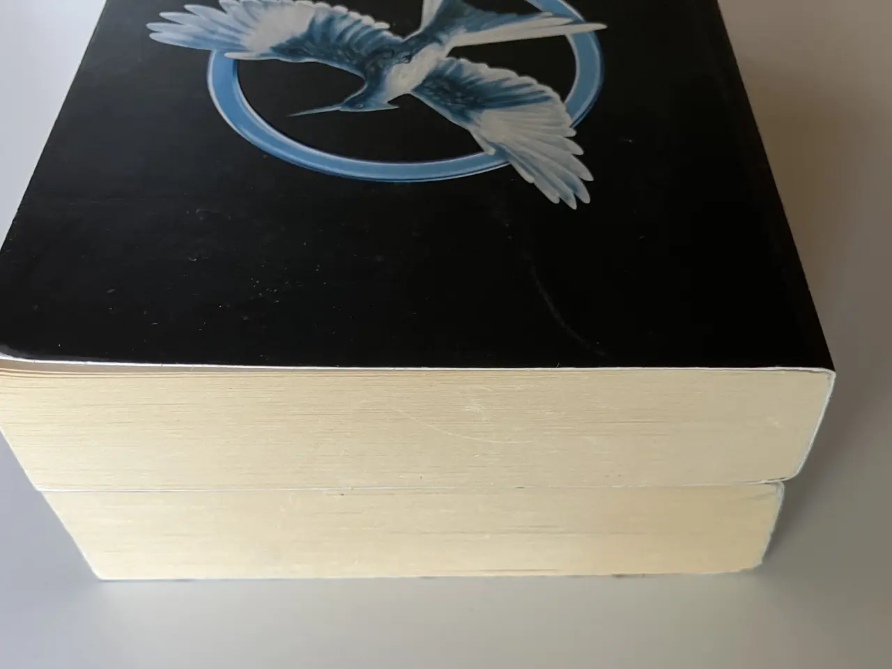 Billede 7 - Catching Fire + Mockingjay (2 books) 