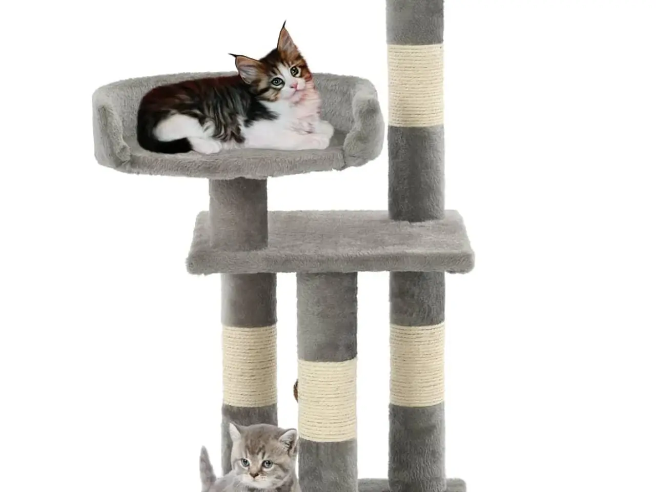Billede 2 - Kradsetræ til katte med sisal-kradsestolper 65 cm - grå