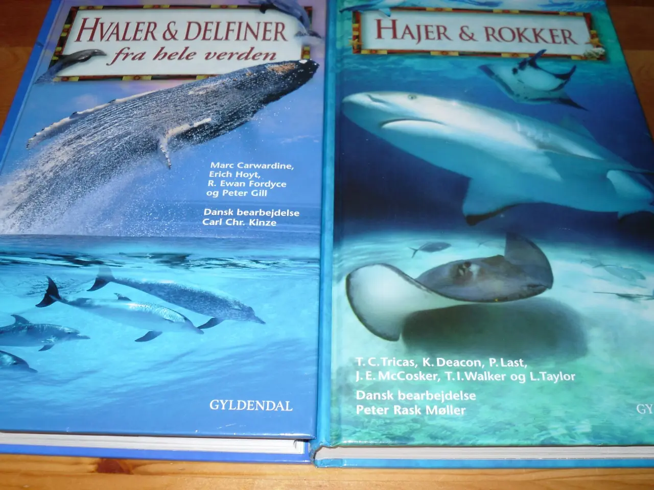 Billede 1 - HVALER & DELFINER. FRA HELE VERDEN.