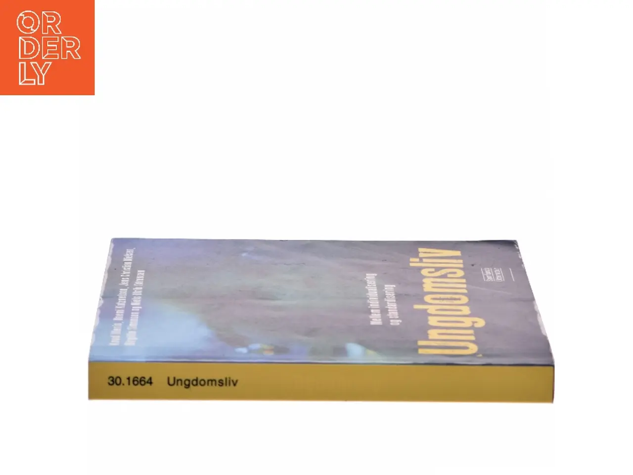 Billede 2 - Ungdomsliv (Bog)