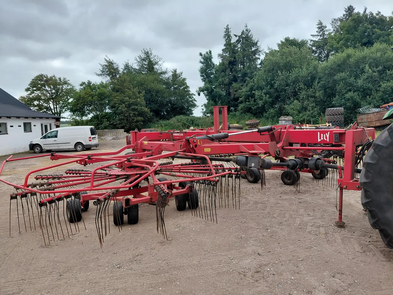 Billede 5 - Lely hibiscus 1015