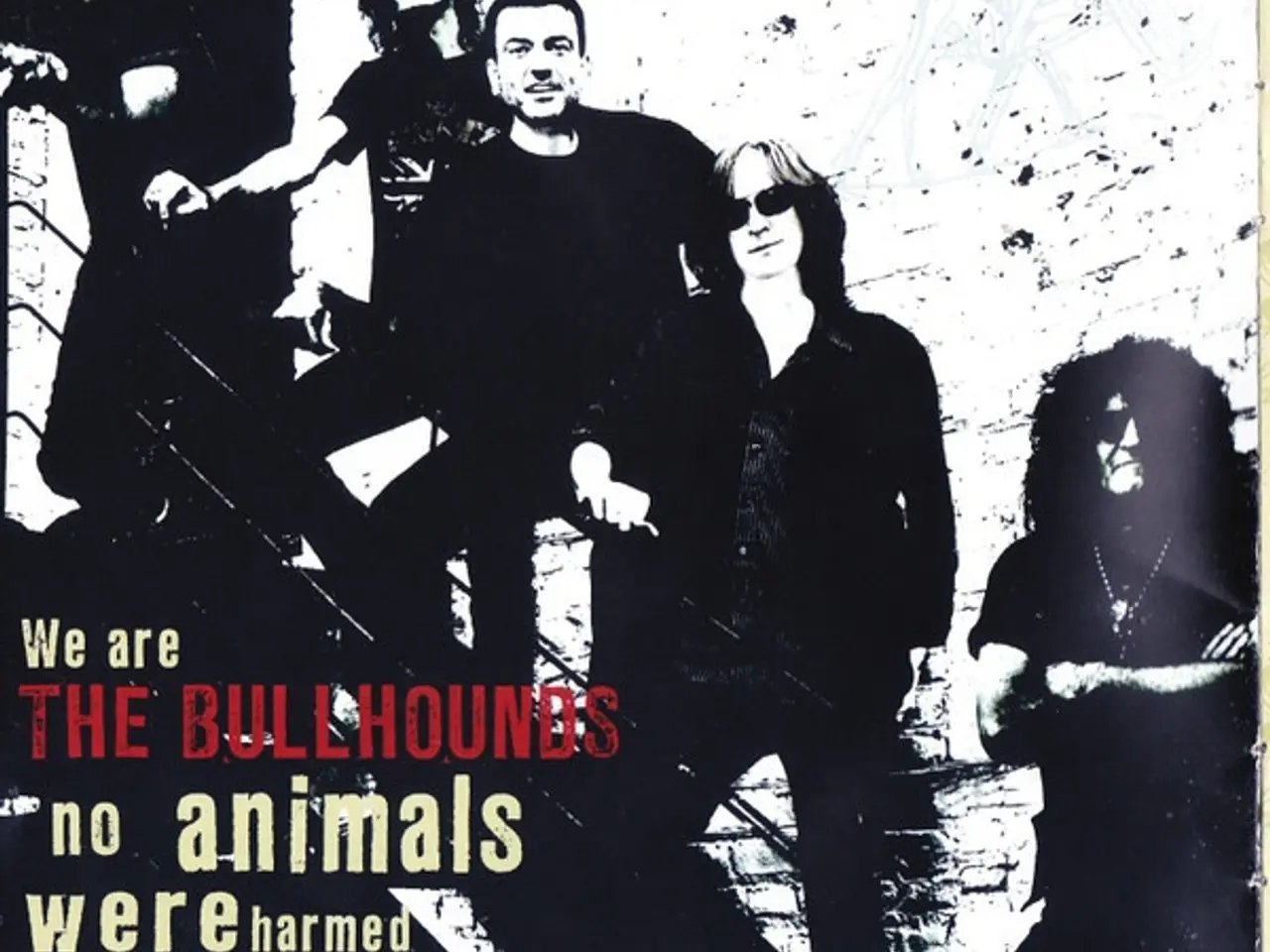 Billede 4 - The Bullhounds – Protector – CD