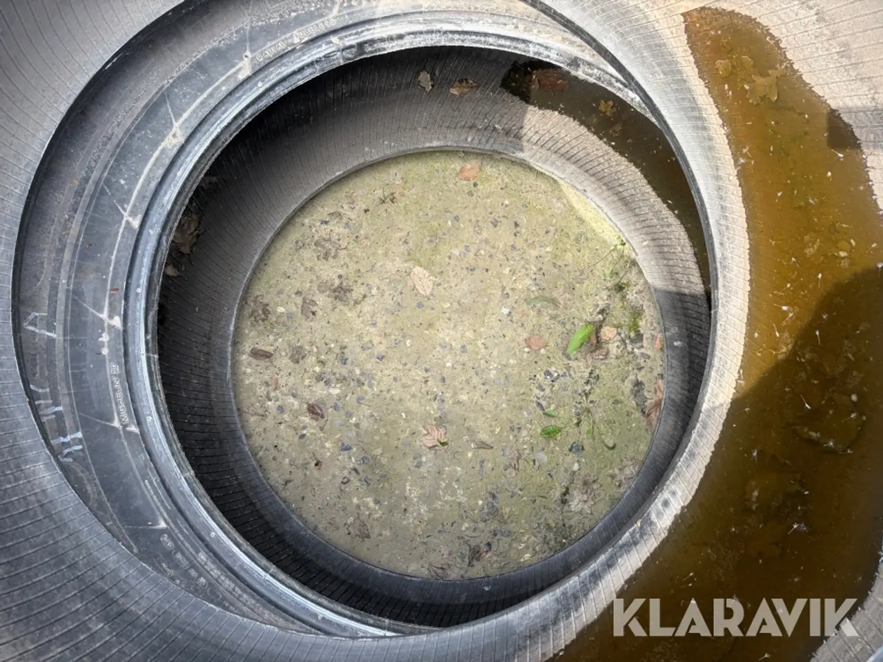Billede 10 - Traktordæk Michelin Axiobib 710/75R42 - 2 styk