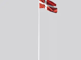 Flagstang Danomast 8 M