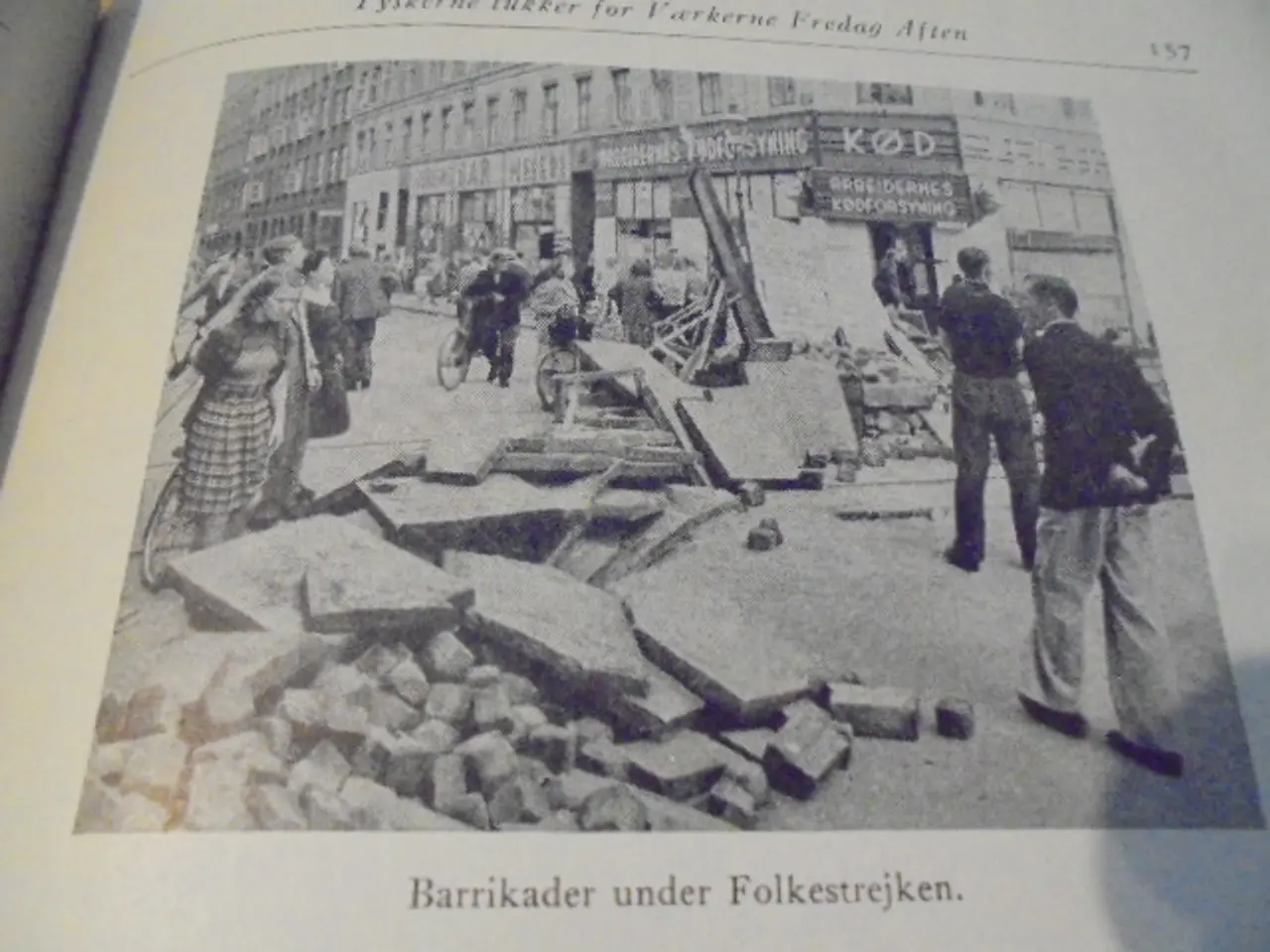 Billede 3 - Danmark besat og befriet III – Hartvig Frisch