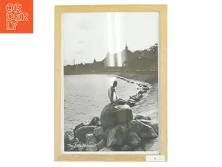 Billedramme fra Nielsen (str. 21x29,7 cm)