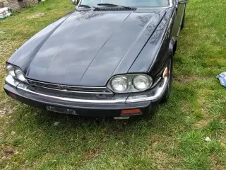 Jaguar XJS V12