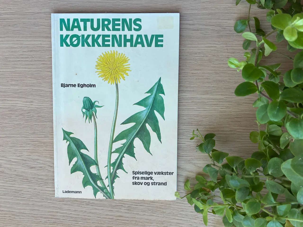Billede 1 - Naturens Køkkenhave