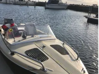 Velholdt speedbåd sælges