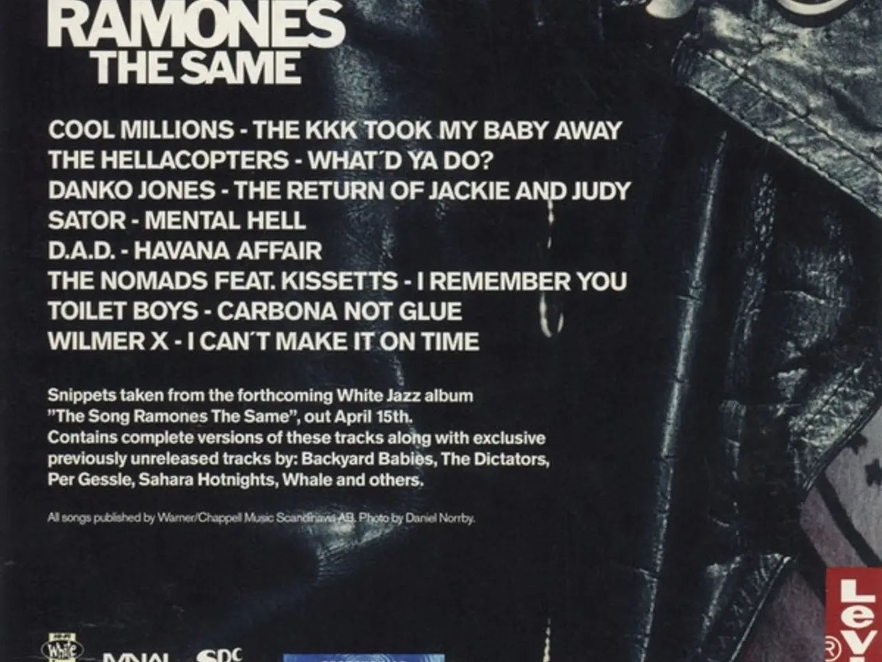 Billede 2 - Diverse kunstnere – The Song Ramones The… – CD