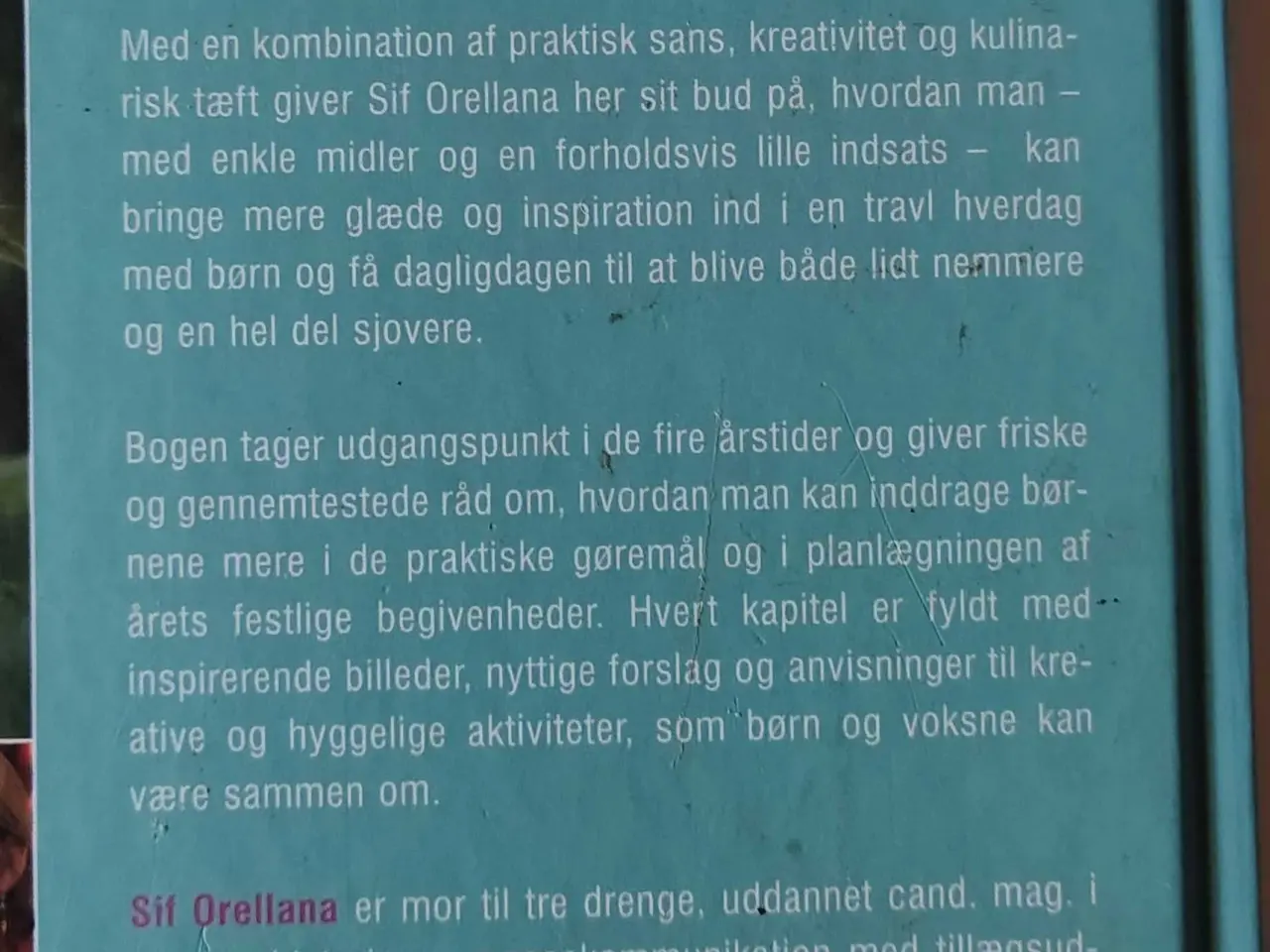 Billede 3 - Krudtugler & kanelsnegle