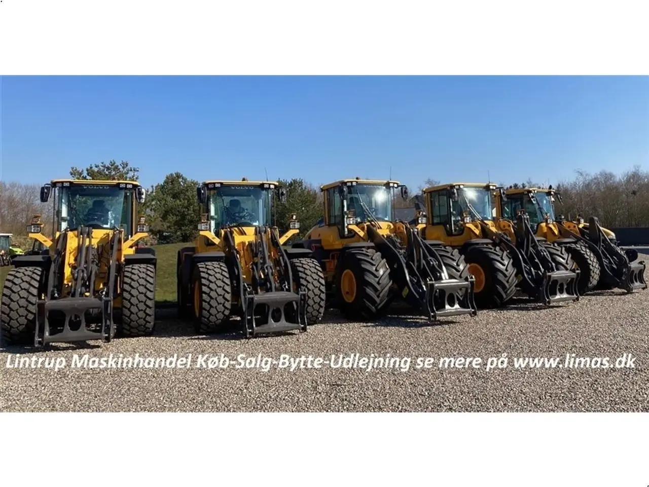 Billede 6 - Volvo Hyundai & Volvo gede udlejes.