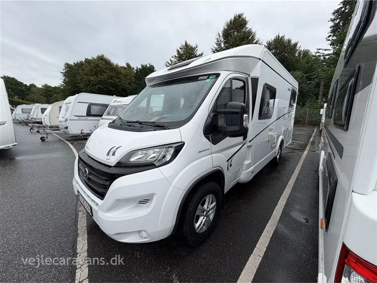 Billede 2 - 2019 - Dethleffs Globebus T 006