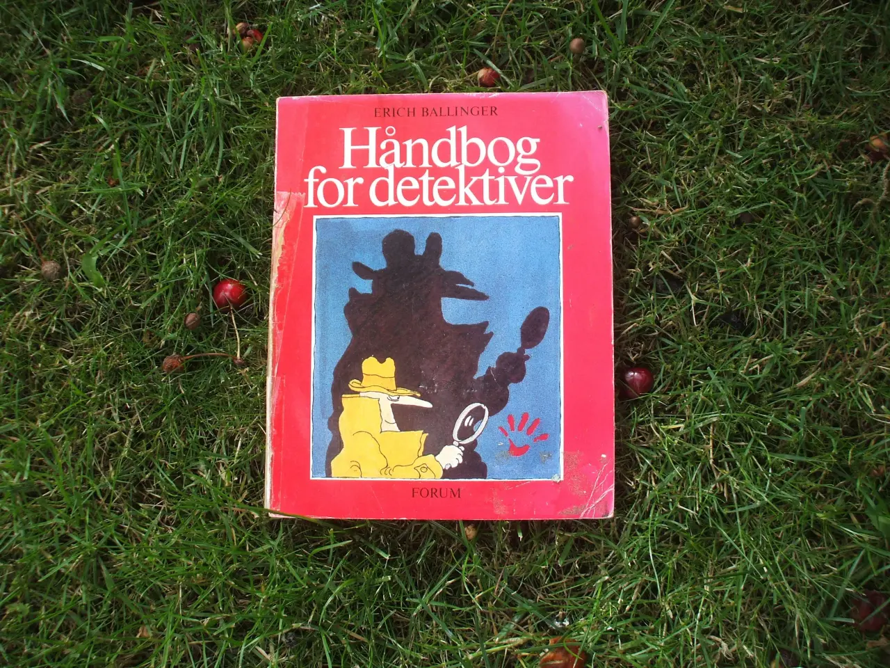 Billede 1 - Håndbog for detektiver