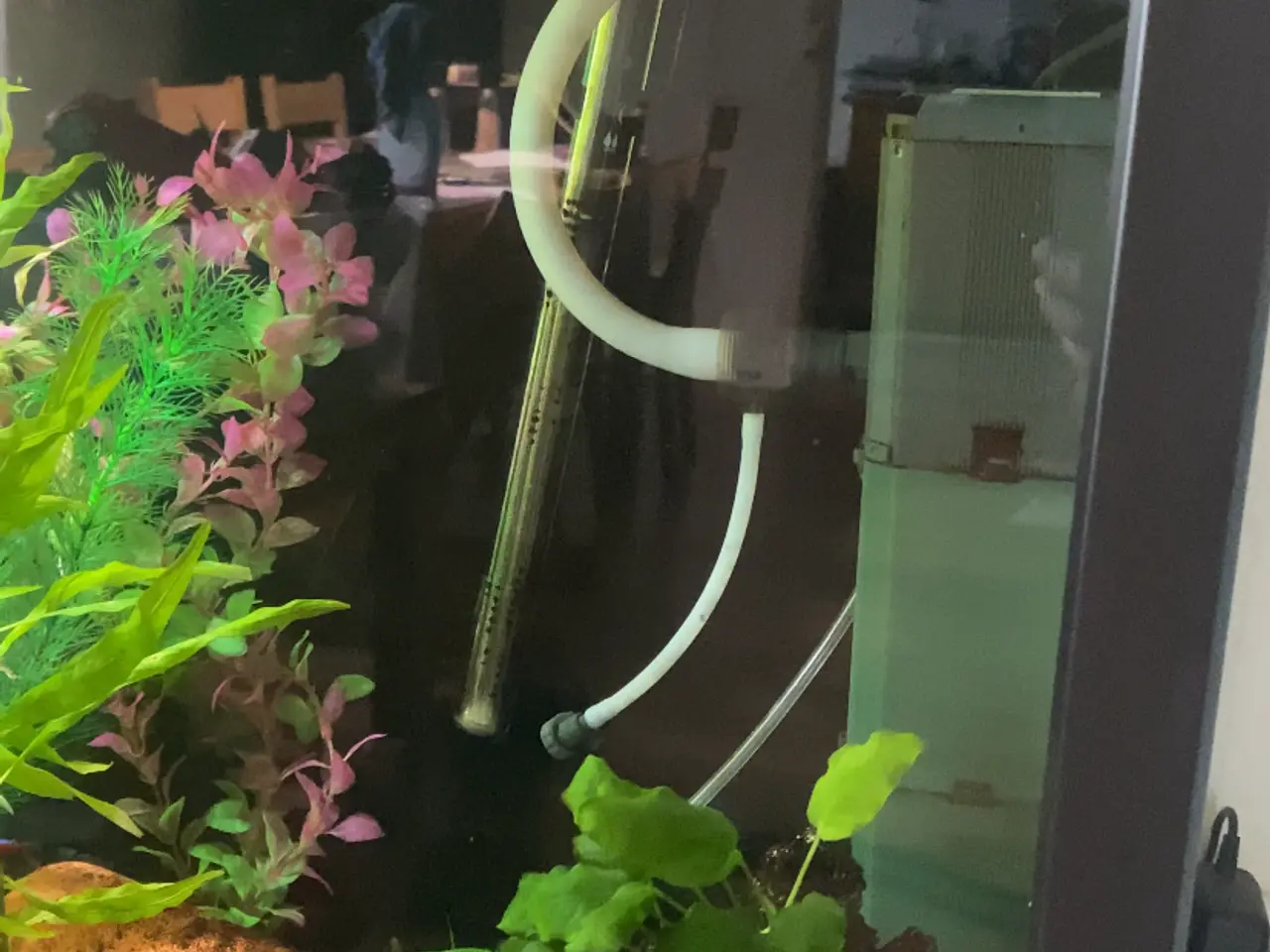 Billede 5 - Specielt bygget 280L akvarie
