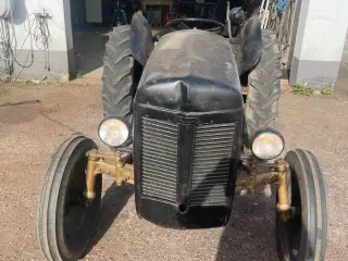 Ferguson 31