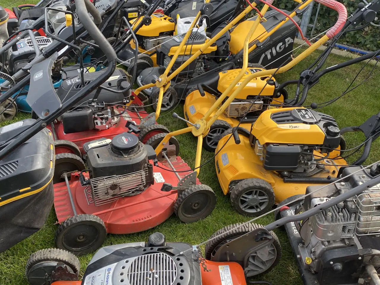 Billede 1 - plæneklippere