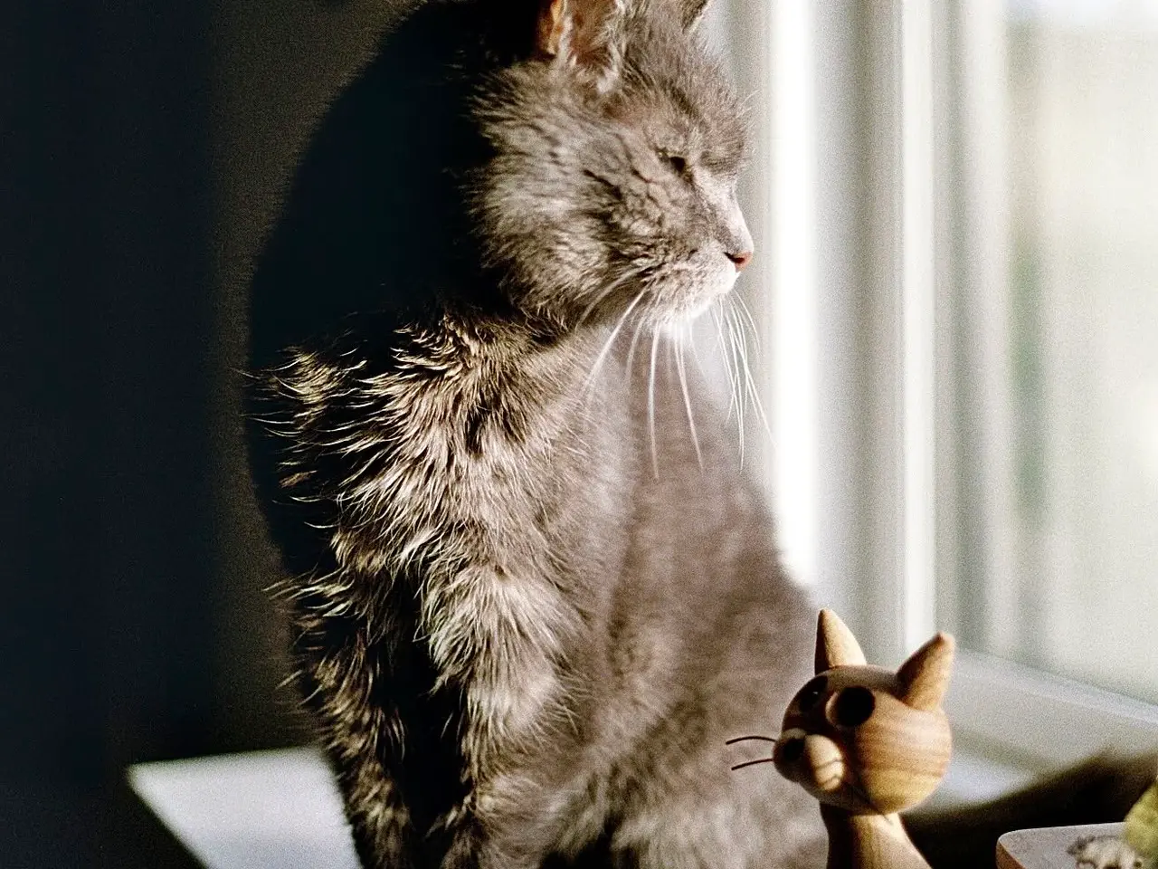 Billede 18 - Canon AV-1 35mm Film Kamera (analog) + Kenlock MC