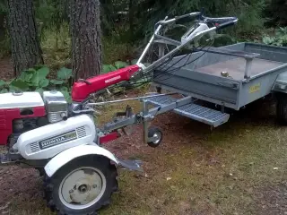 Honda F-800 søges