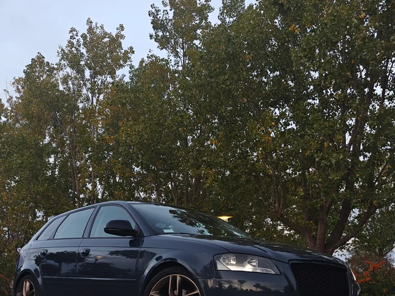 Billede 1 - Audi a3 8pa 1.6tdi