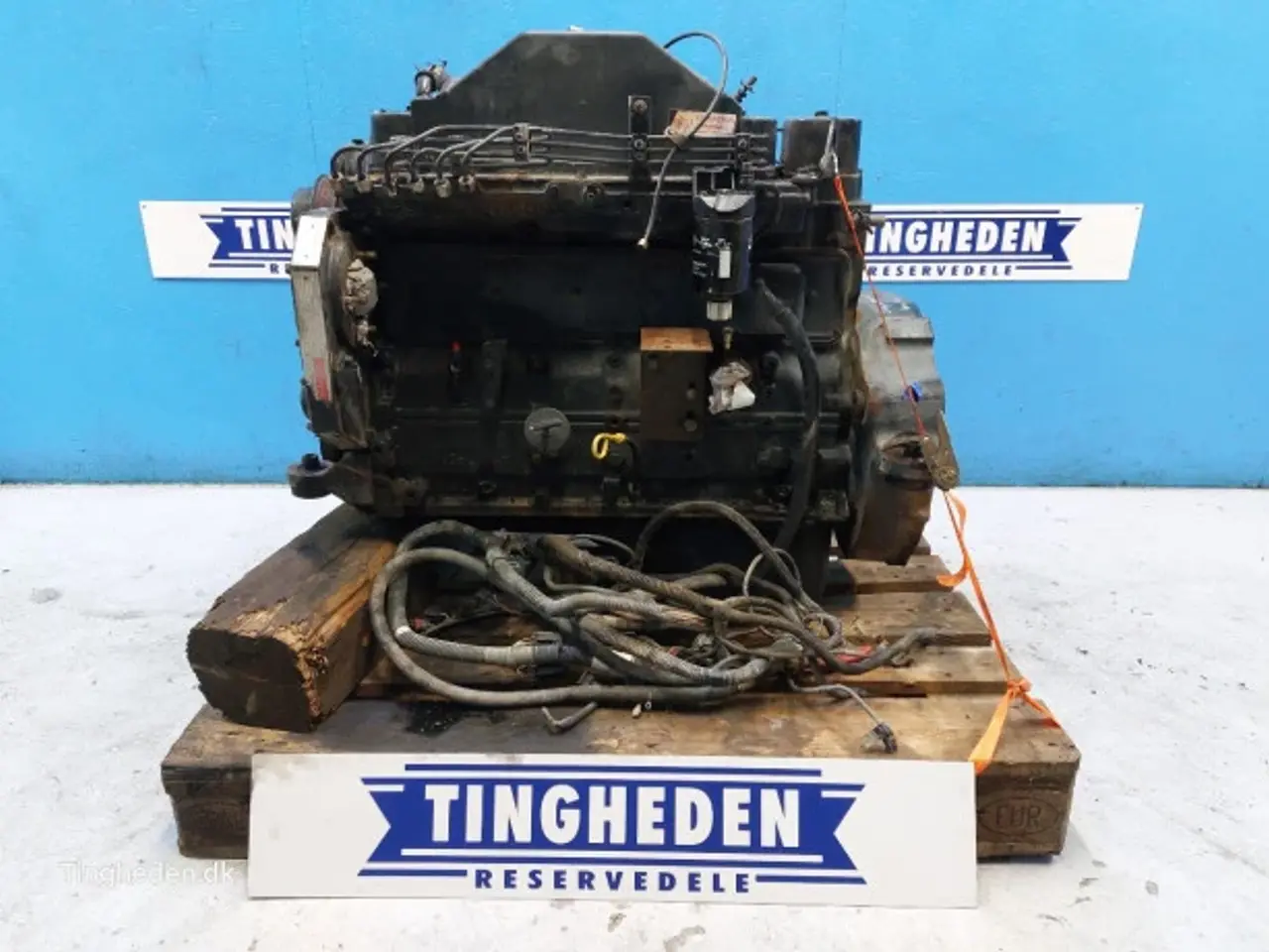 Billede 1 - Cummins 6TA-590 Motor 183841A4