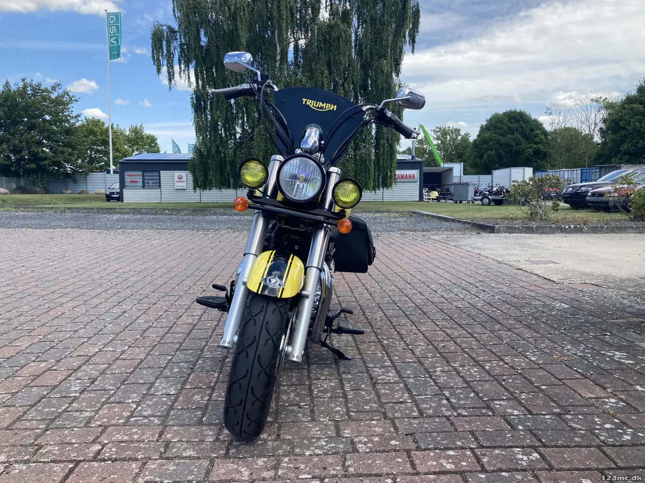 Billede 4 - Triumph America