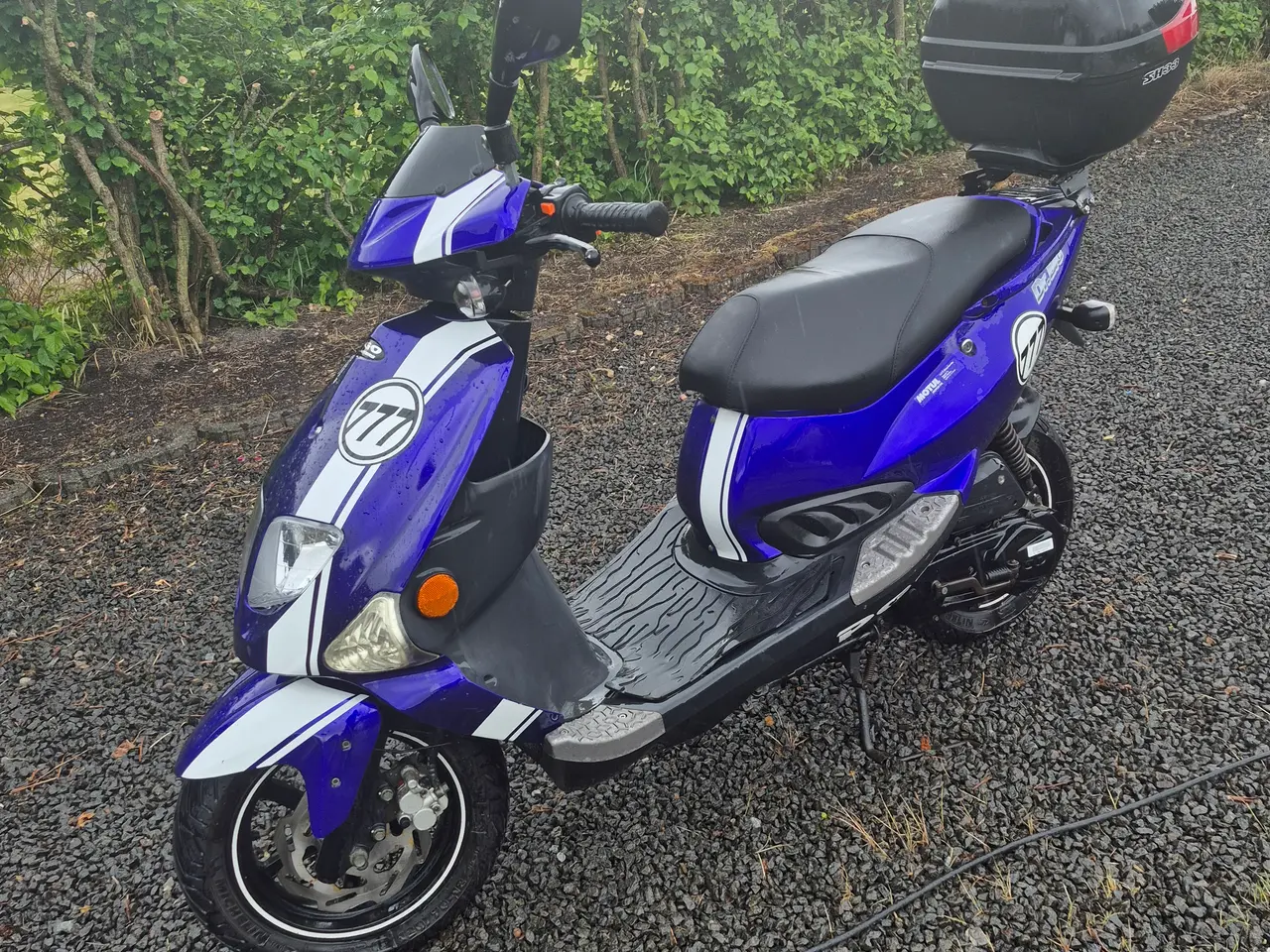 Billede 3 - Pgo dr big