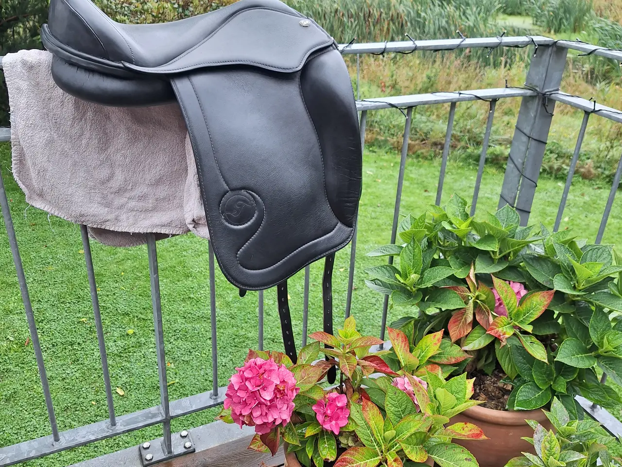 Billede 1 - Bomløs Taur gaiter dressage V3