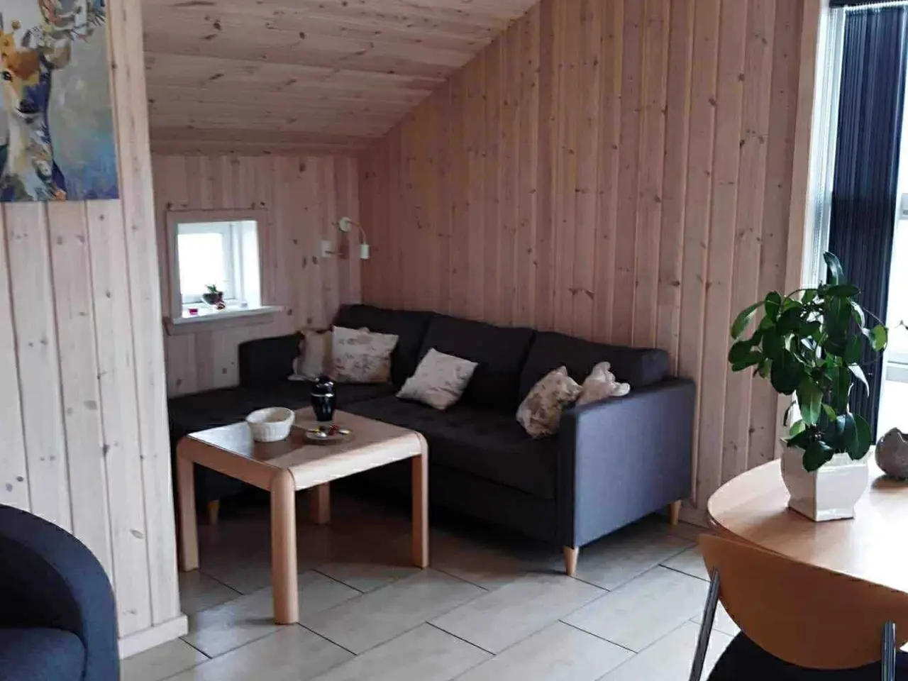 Billede 14 - Sommerhus udlejes …..hund tilladt