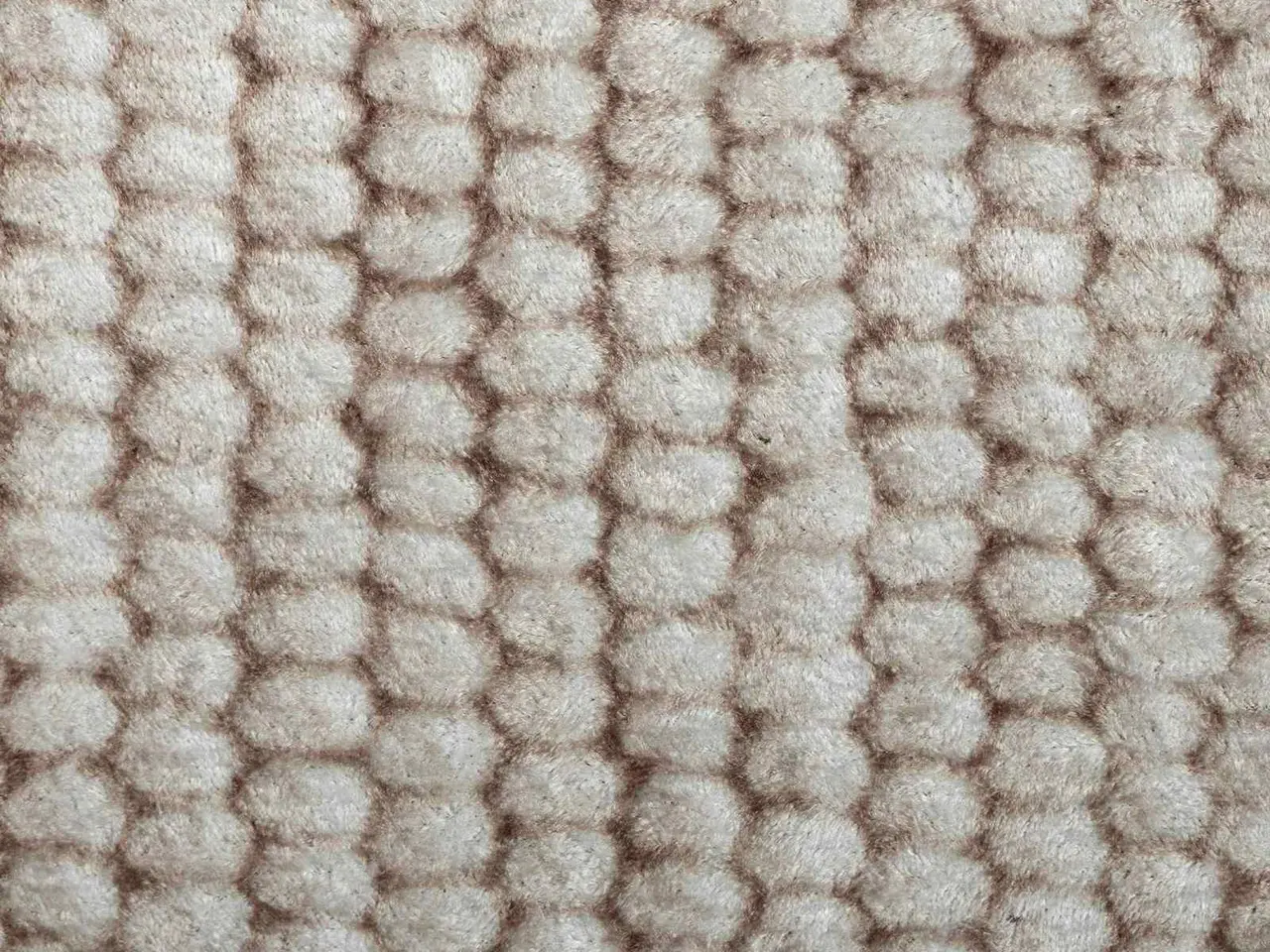 Billede 5 - Gulvtæppe beige 300 x 400 cm - vaskbart