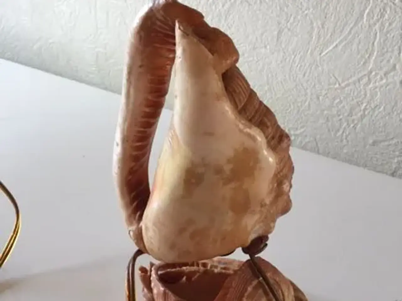 Billede 3 - Bordlampe lavet af skaller