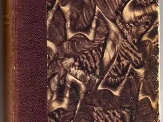 E. W. Hornung: A. J. Raffles' oplevelser