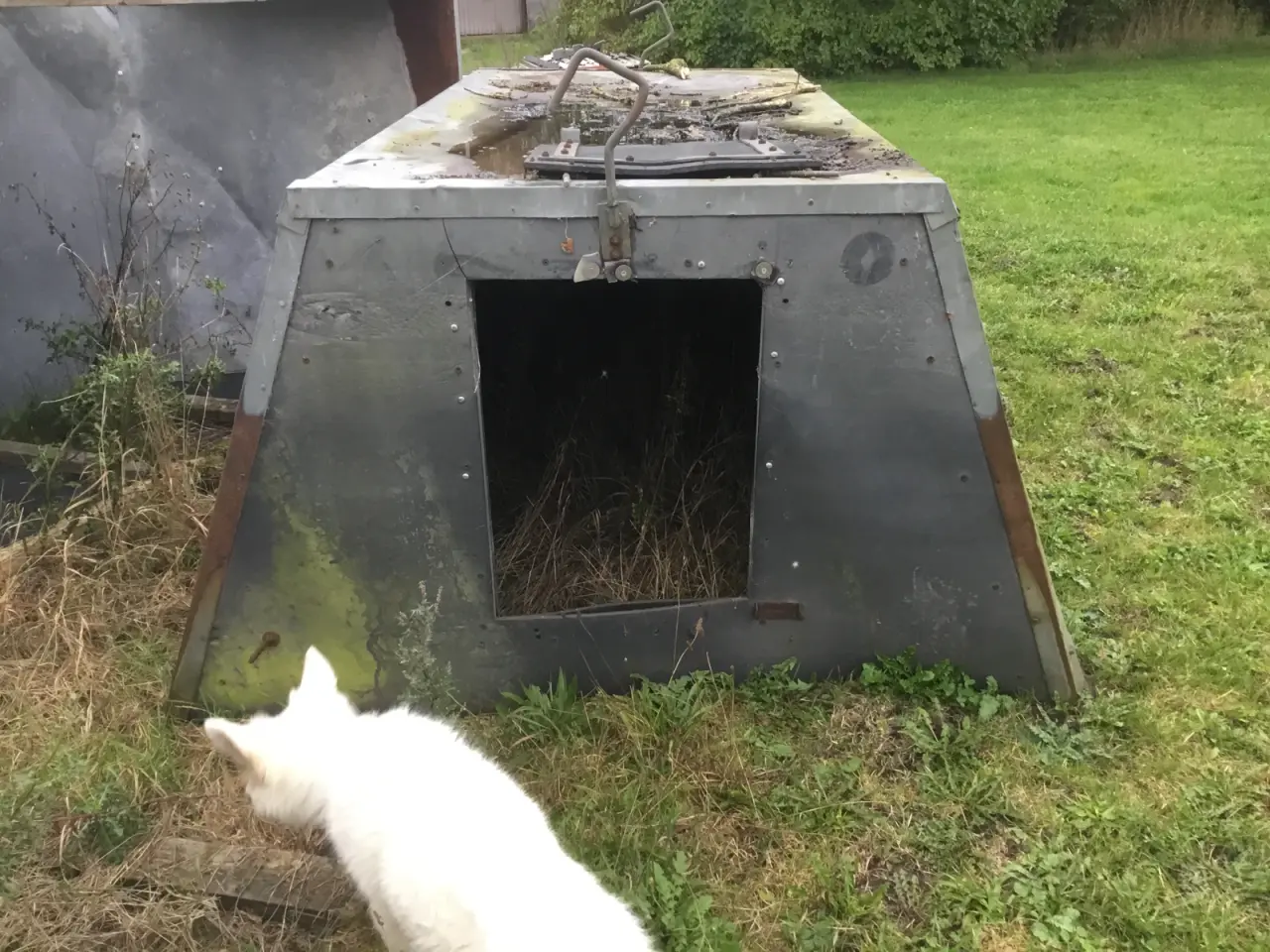 Billede 4 - Grise huse