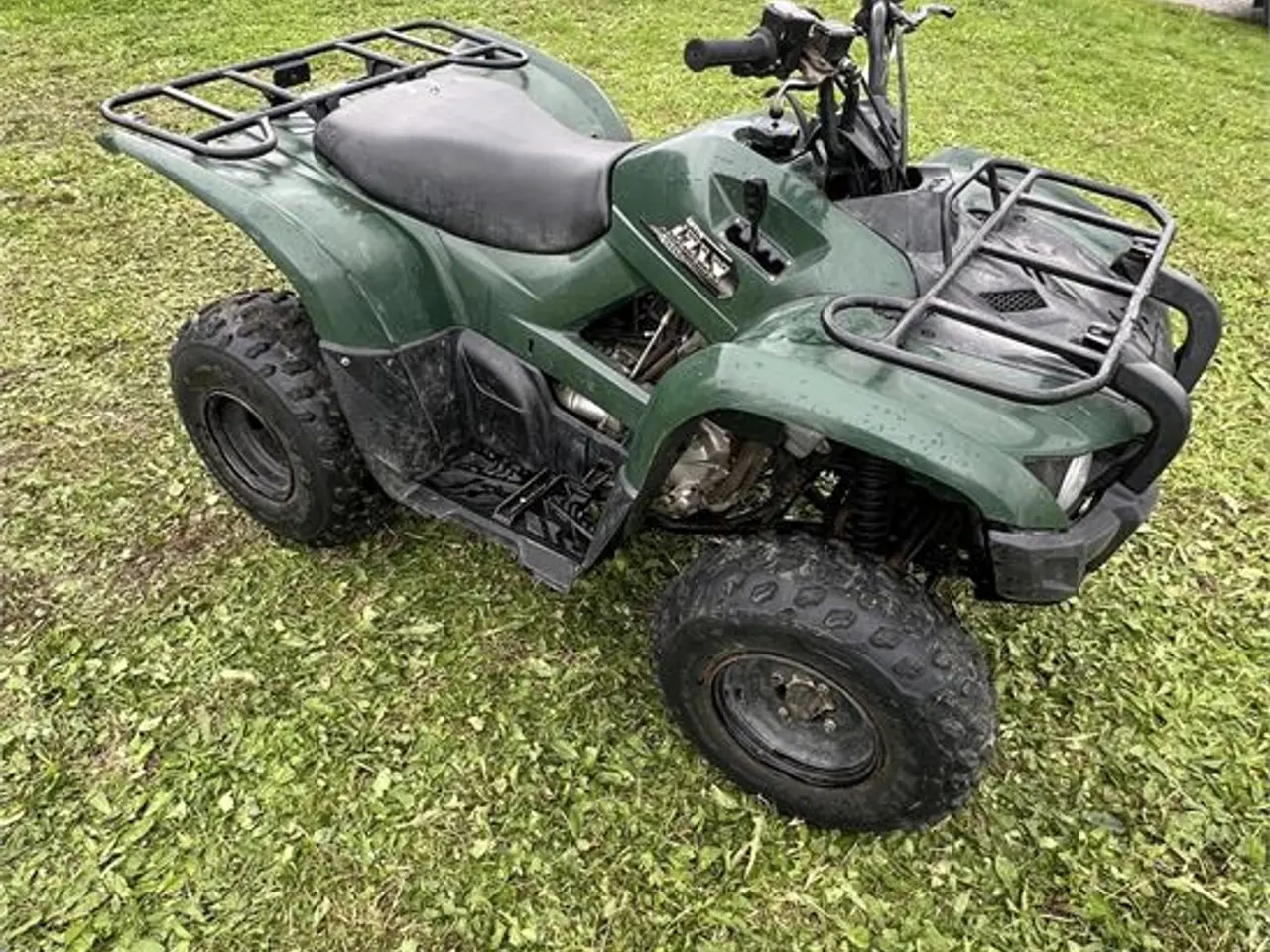 Billede 11 - Yamaha Grizzly 300 - Video