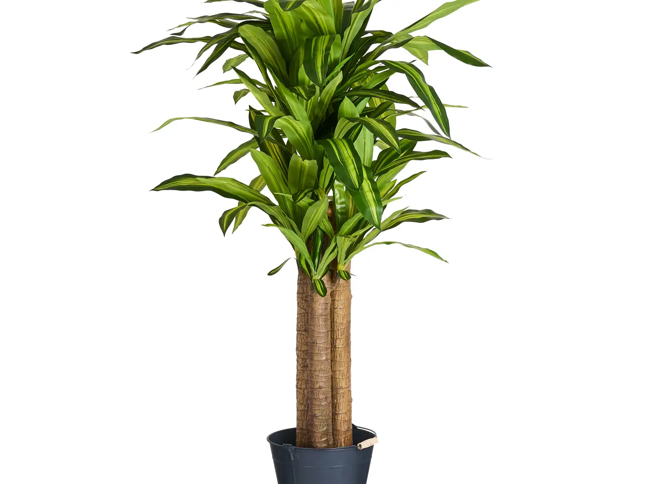 Billede 1 - Kunstig plante Happy Plante 150 cm. 