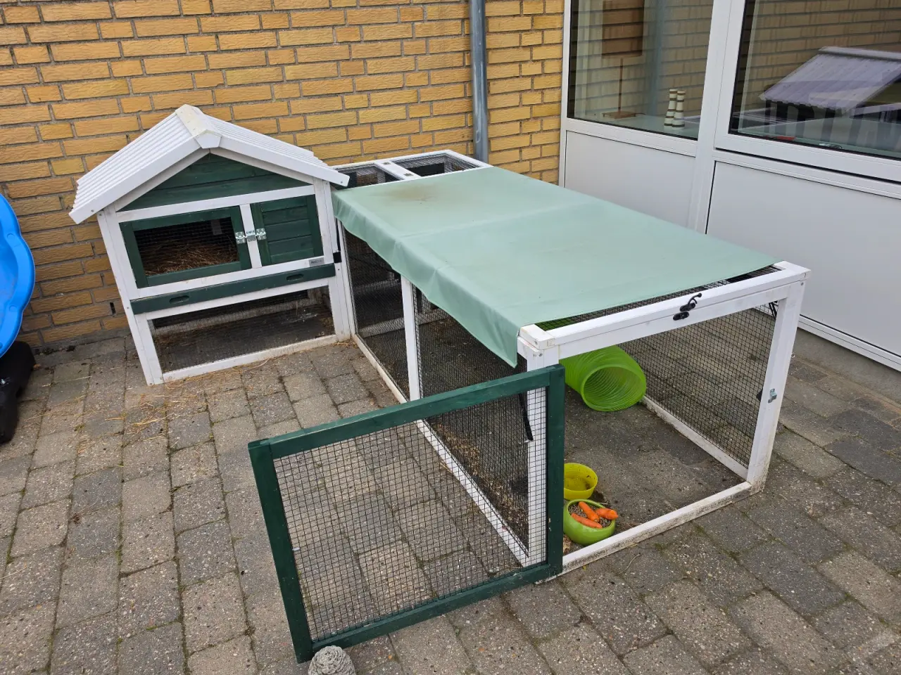 Billede 7 - Kanin løvhovede