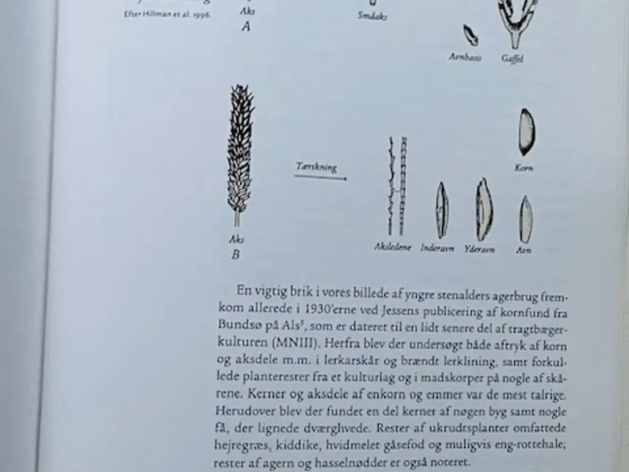 Billede 10 - Det sønderjyske landsbrugs historie bind 1