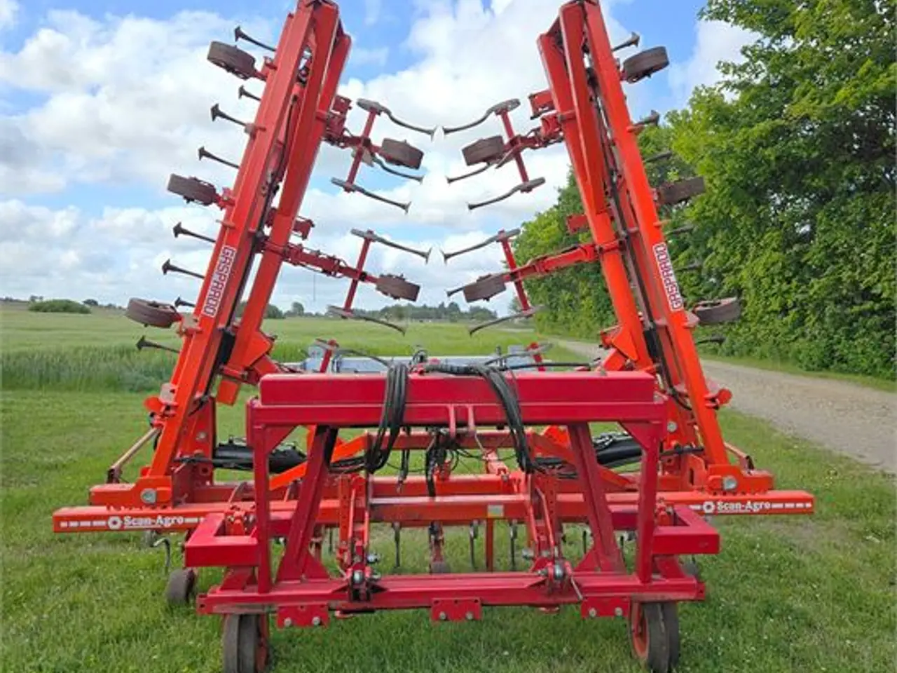 Billede 2 - Maschio DSD-600 - radrenser / row cultivator 12 m