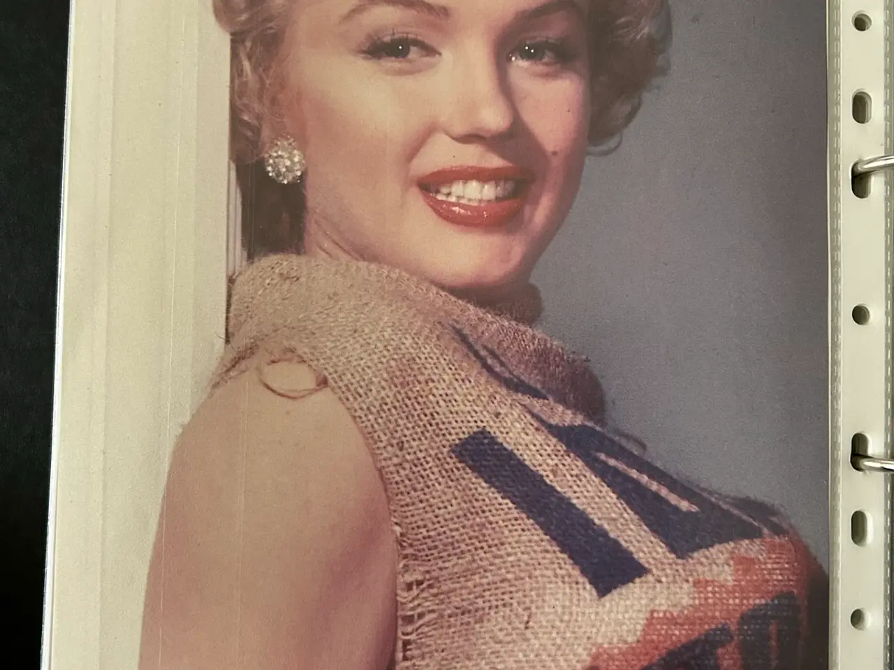 Billede 18 - Div. billeder fra idol kalender med Marilyn Monroe