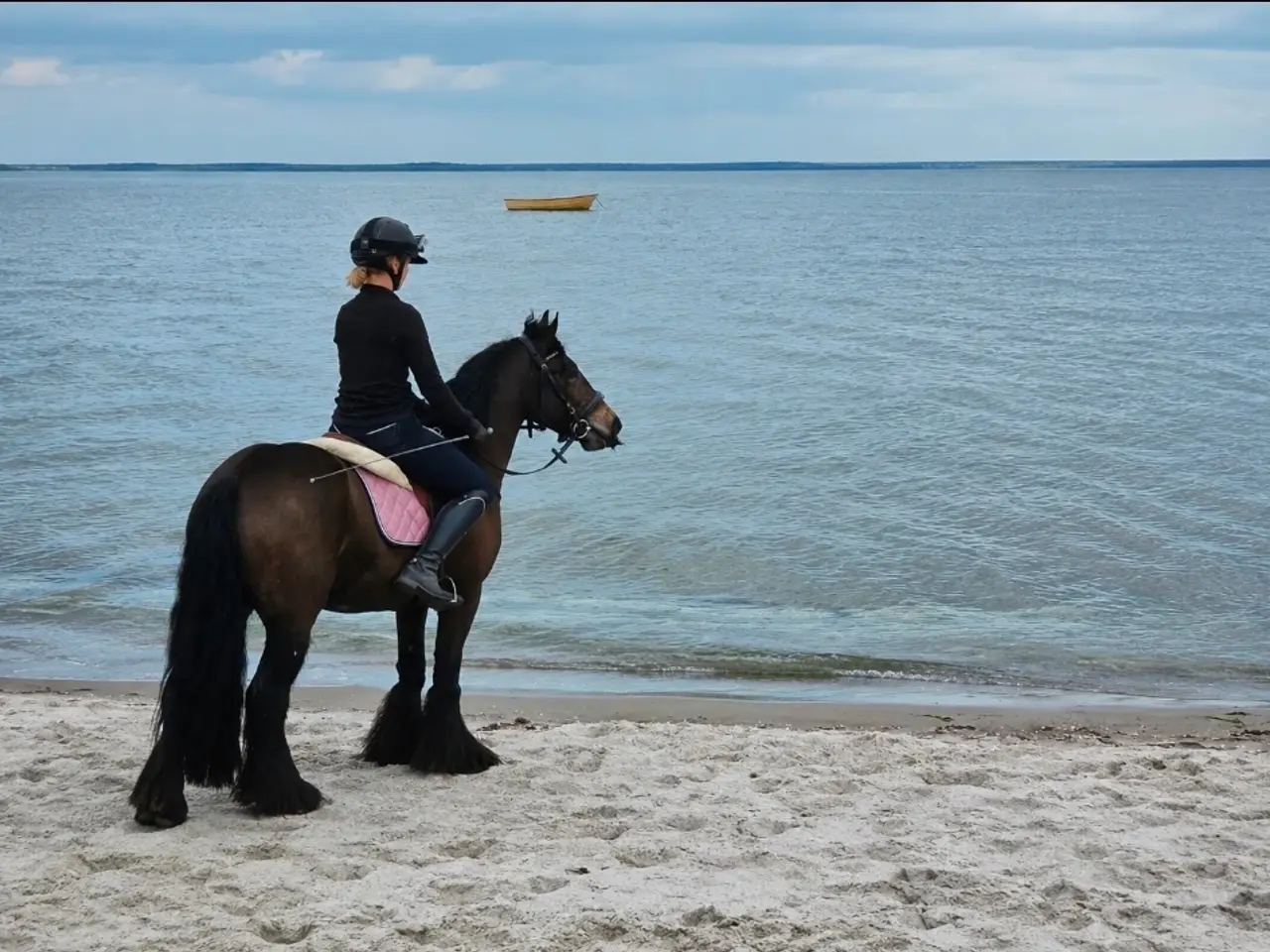 Billede 5 - Bulæer - 3 års kat. 3 pony