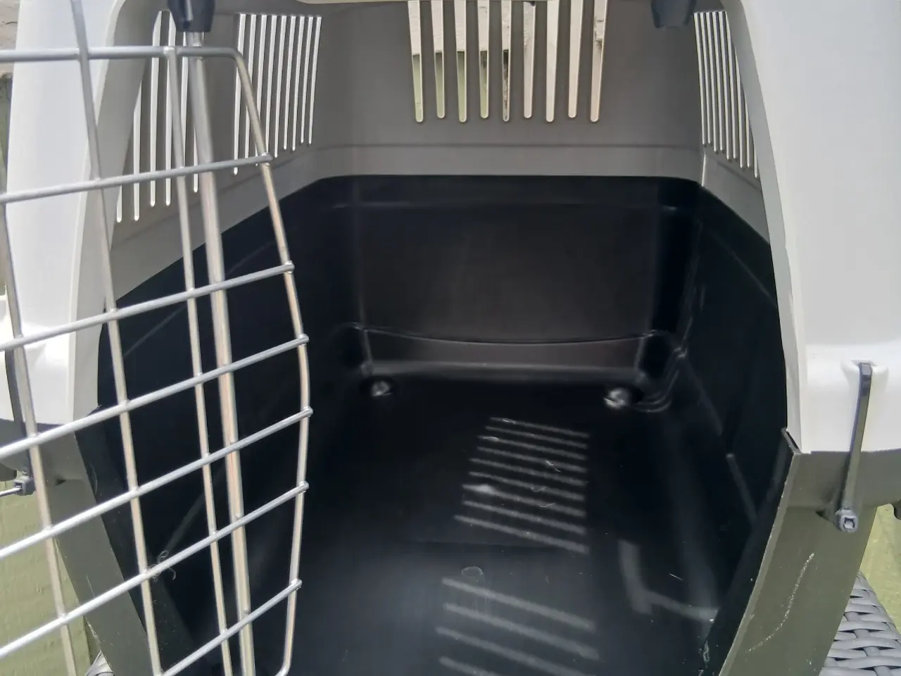 Billede 3 - Kattetransport sælges