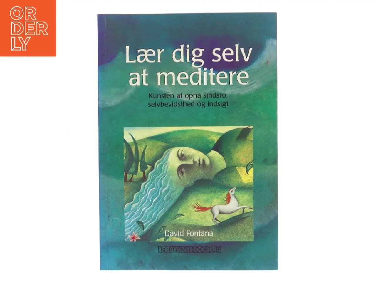 Billede 1 - Lær dig selv at meditere : kunsten at opnå sindsro, selvbevidsthed og indsigt af David Fontana (Bog)