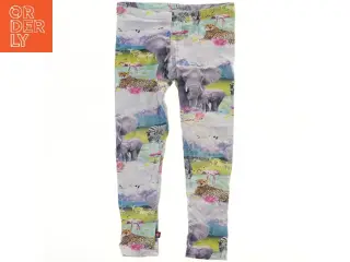 Børne leggings med dyreprint fra Molo (str. 128)