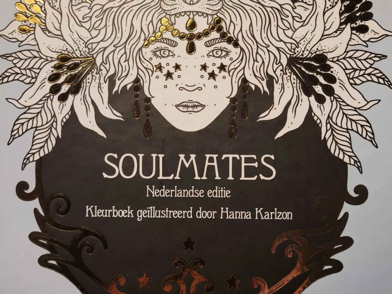 Billede 2 - Hanna karlzon malebøger