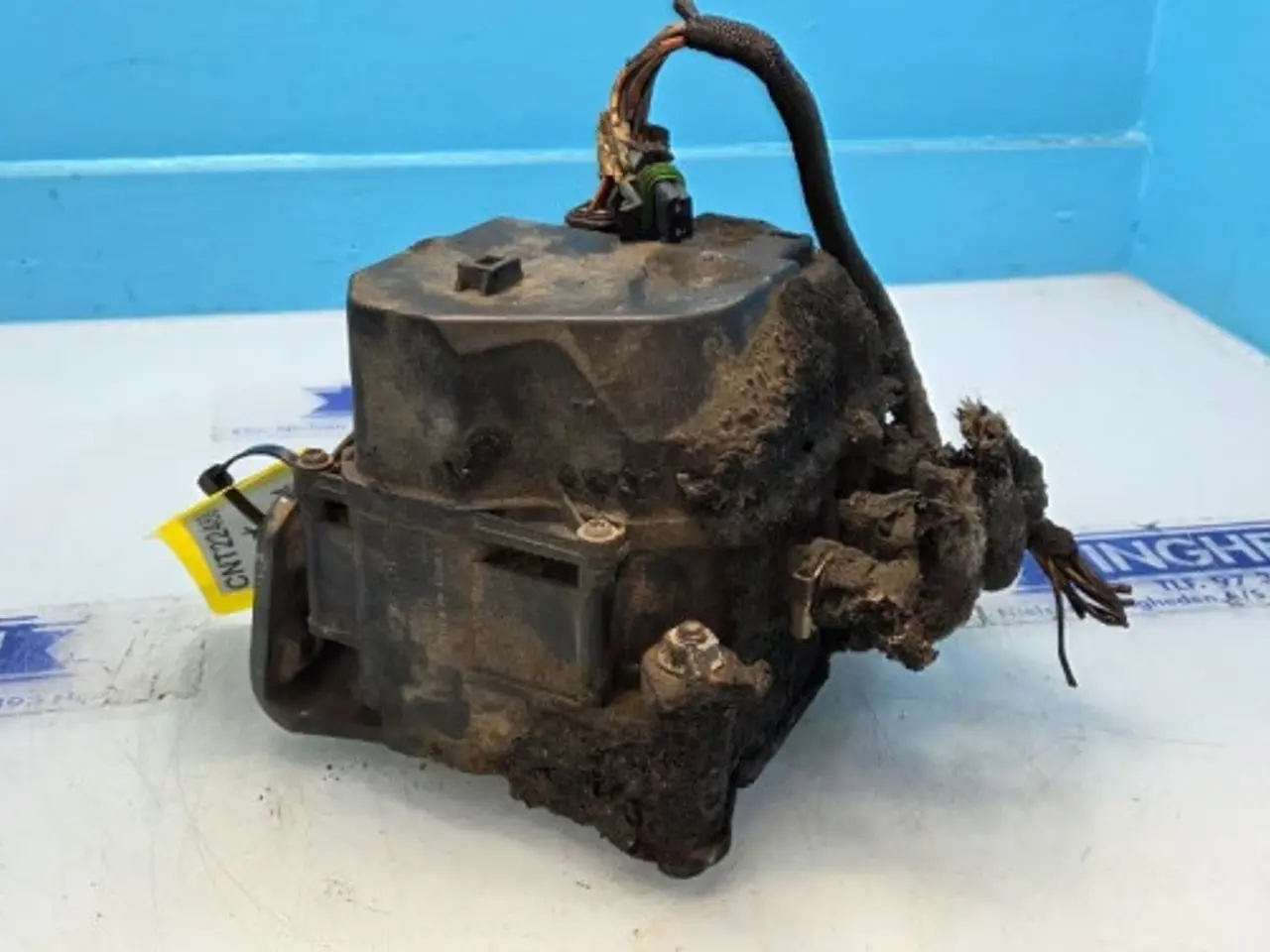 Billede 8 - Bobcat D34 AD Blue Pumpe 7220662