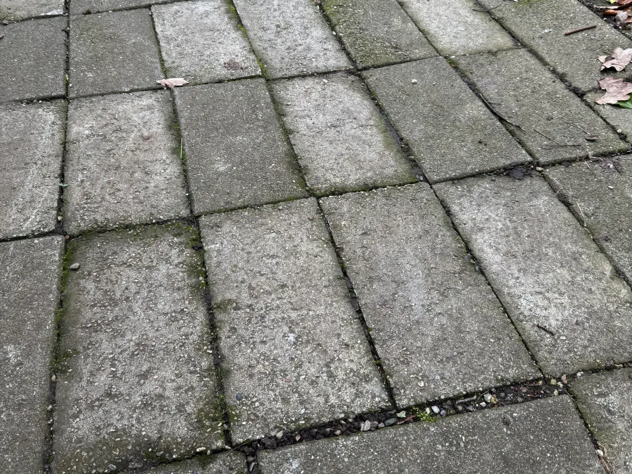 Billede 1 - Betonbelægningssten (hentes gratis)