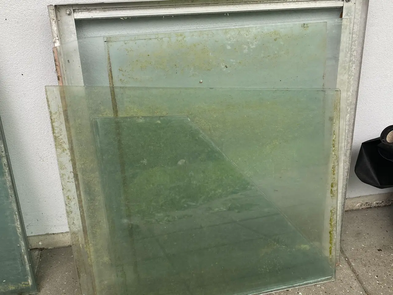 Billede 5 - Drivhus glas